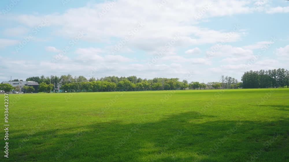 広い芝生のある公園 休憩 夏 A park with a large lawn, resting, summer, lawn, summer, rest 広い芝生のある公園 休憩 夏 A park with a large lawn, resting, summer, lawn, summer, rest