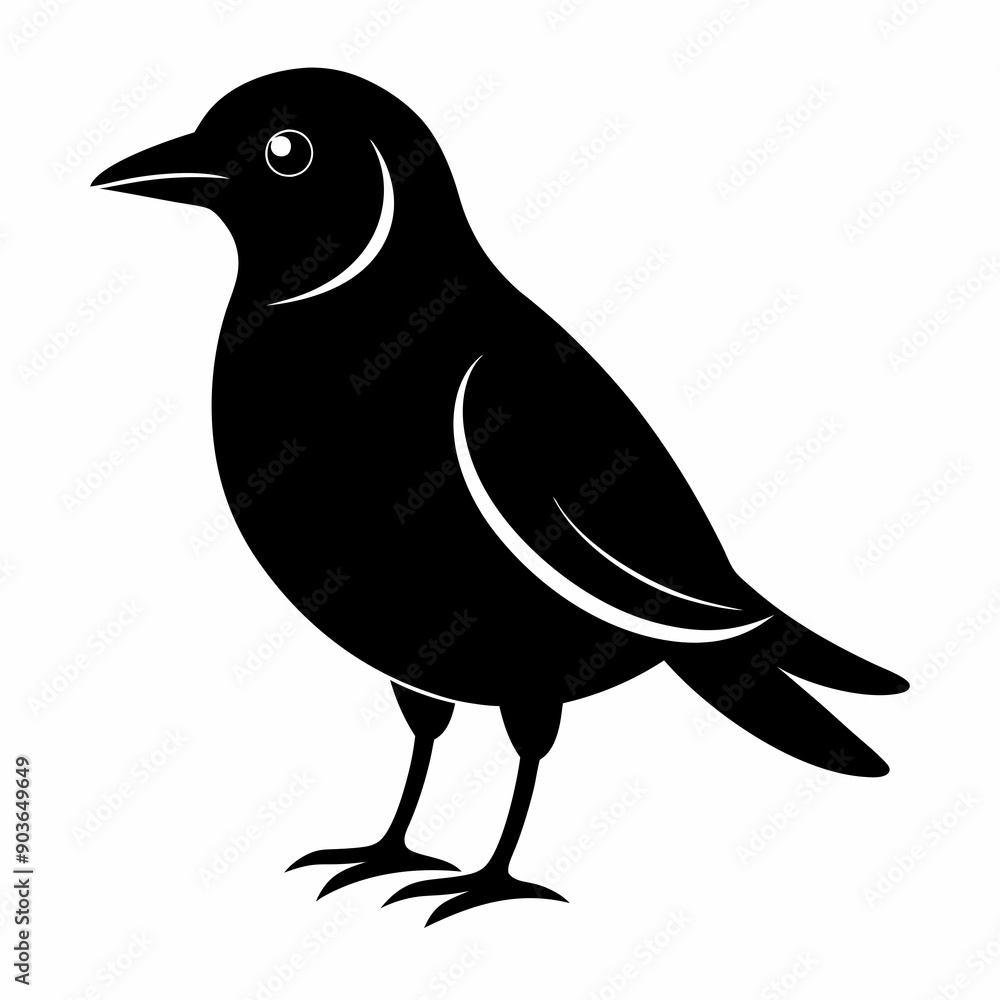 Fototapeta premium Bird Black silhouette