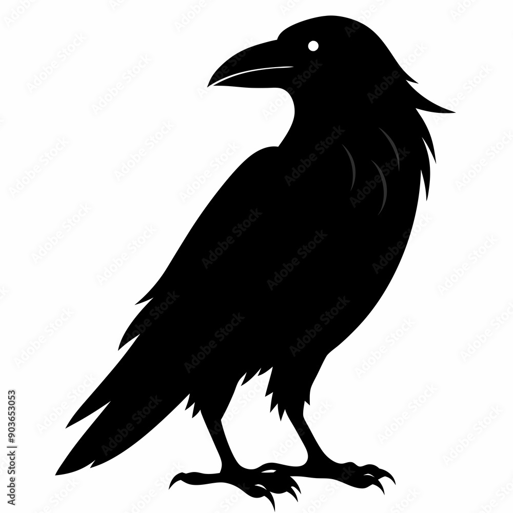 Crow Black silhouette Crow Black silhouette
