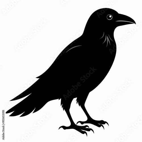 Crow Black silhouette