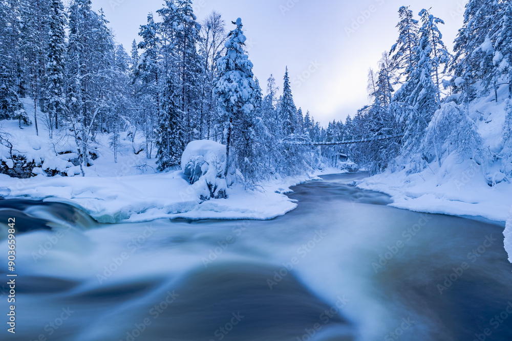 winter landscape in the forest. Oulanka. Finland