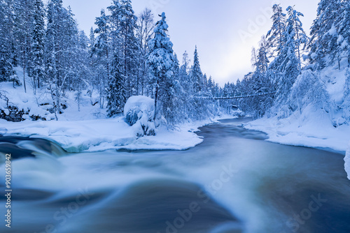Obraz na płótnie winter landscape in the forest. Oulanka. Finland w salonie