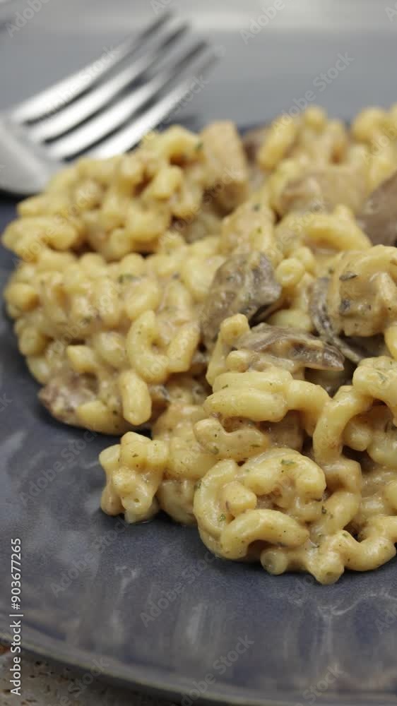assiette de pâtes (coquillettes) au poulet et champignons assiette de pâtes (coquillettes) au poulet et champignons