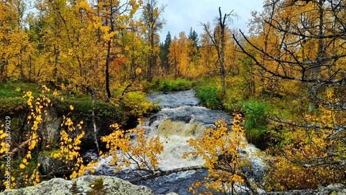 Herbst in Lappland (Finnland) photo