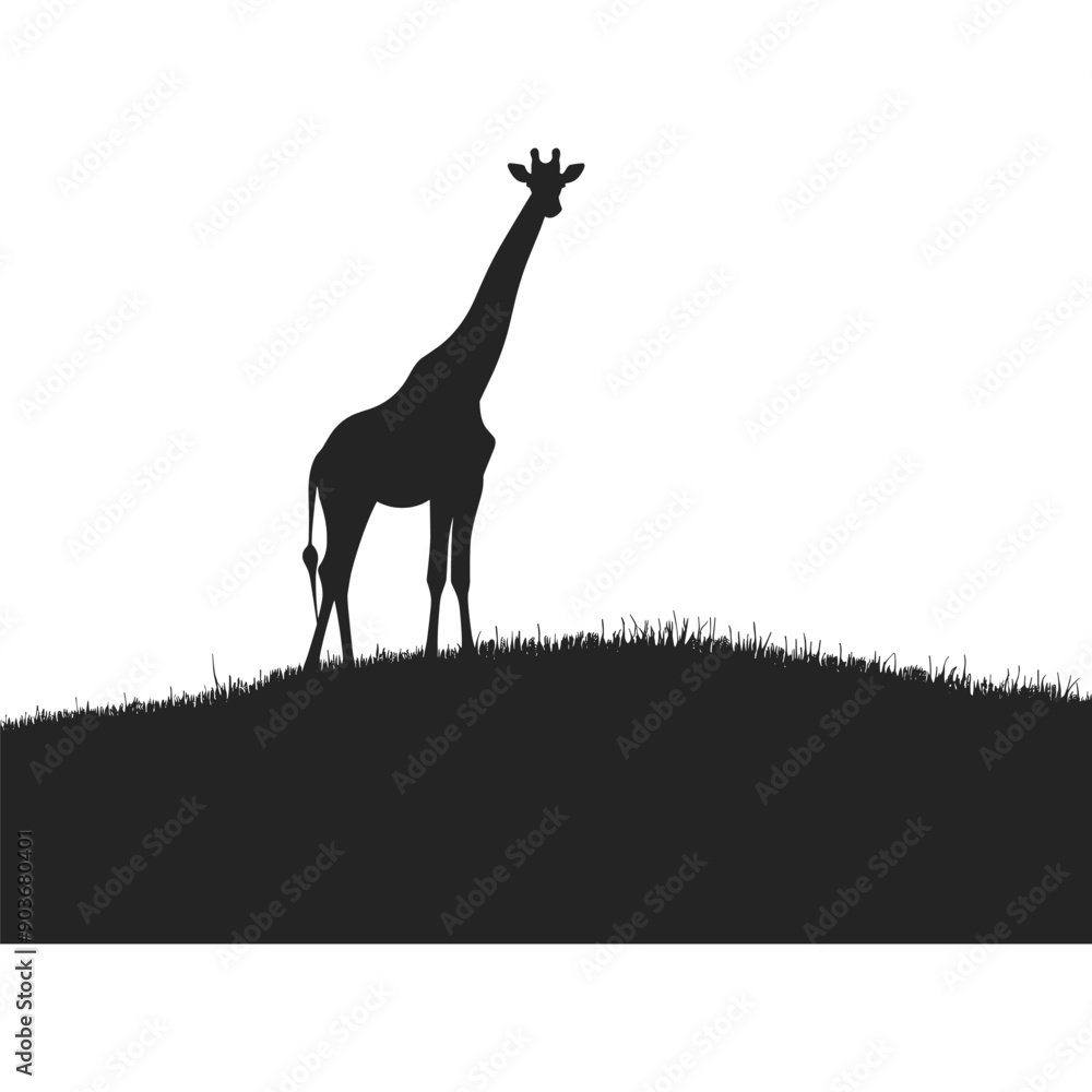 Naklejka premium Silhouette of a giraffe standing on a hill.