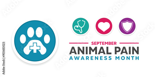 Animal Pain Awareness Month. Pet icon, stethoscope, heart and shield. Great for cards, banners, posters, social media and more. White background.