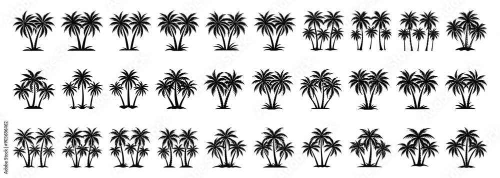 Set tropical palm trees with leaves, mature and young plants, black silhouettes isolated on white background. Vector Set tropical palm trees with leaves, mature and young plants, black silhouettes isolated on white background. Vector