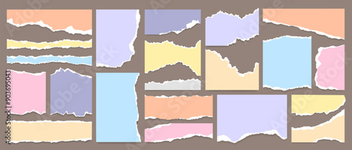 Set of torn paper texture sheet, note scrap, ripped notebook page and damaged newspaper clip art. Torn grunge paper strip, office sticky label, business information or message cutout for social media.