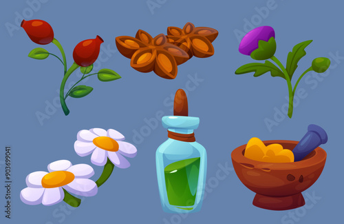 Herbal folk medicine elements set. Traditional homeopathy and naturopathy apothecary objects. Natural therapy herbs and equipment - pot with pestle, glass bottle with oil potion, flowers and berries.