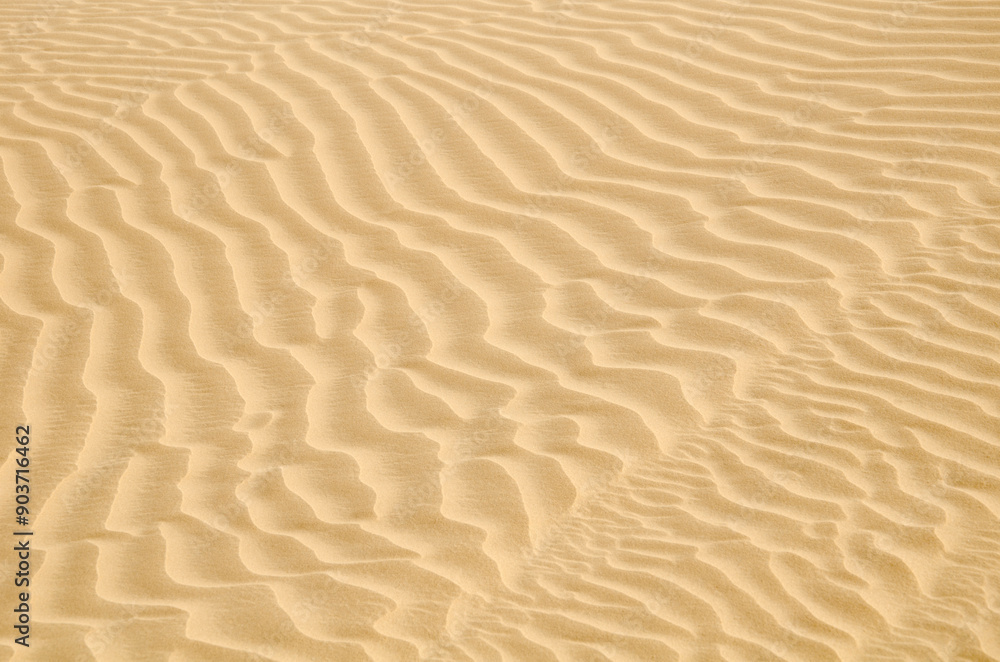 Sam Sand dunes in Thar Desert, grainy sand, Texture, Pattern, Background, Jaisalmer, Rajasthan, India, Asia. Sam Sand dunes in Thar Desert, grainy sand, Texture, Pattern, Background, Jaisalmer, Rajasthan, India, Asia.