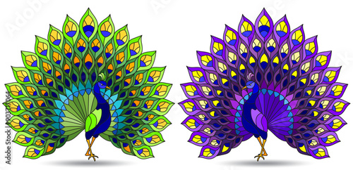 Set of stained glass elements with peacock birds,animals isolated on white background