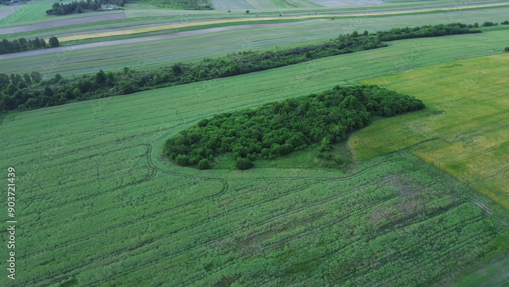 Obraz premium Green forest and open fields captured in aerial summer view