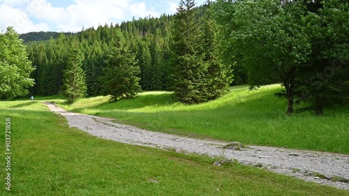 Wallpaper Mural Path in a mountain valley Torontodigital.ca