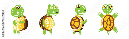 Funny Green Turtle Character with Carapace Vector Set