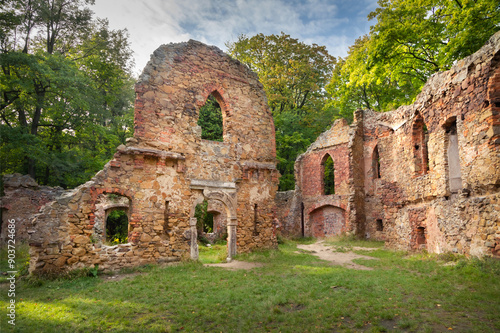 Obraz na płótnie Ruins of Stary Ksiaz castle in Walbrzych, Poland w salonie