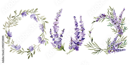 Elegant Collection of Lavender Flowers, Detailed Watercolor Paintings for Floral Designs, Decorative Art, and Creative Projects