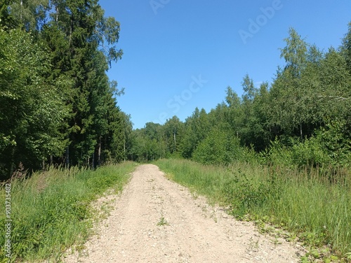 Road in forest in Siauliai county during sunny summer day. Oak and birch tree woodland. Sunny day with white clouds in blue sky. Bushes are growing in woods. Sandy road. Nature. Summer season. Miskas.