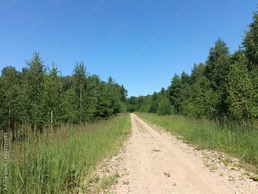 Road in forest in Siauliai county during sunny summer day. Oak and birch tree woodland. Sunny day with white clouds in blue sky. Bushes are growing in woods. Sandy road. Nature. Summer season. Miskas. Road in forest in Siauliai county during sunny summer day. Oak and birch tree woodland. Sunny day with white clouds in blue sky. Bushes are growing in woods. Sandy road. Nature. Summer season. Miskas.