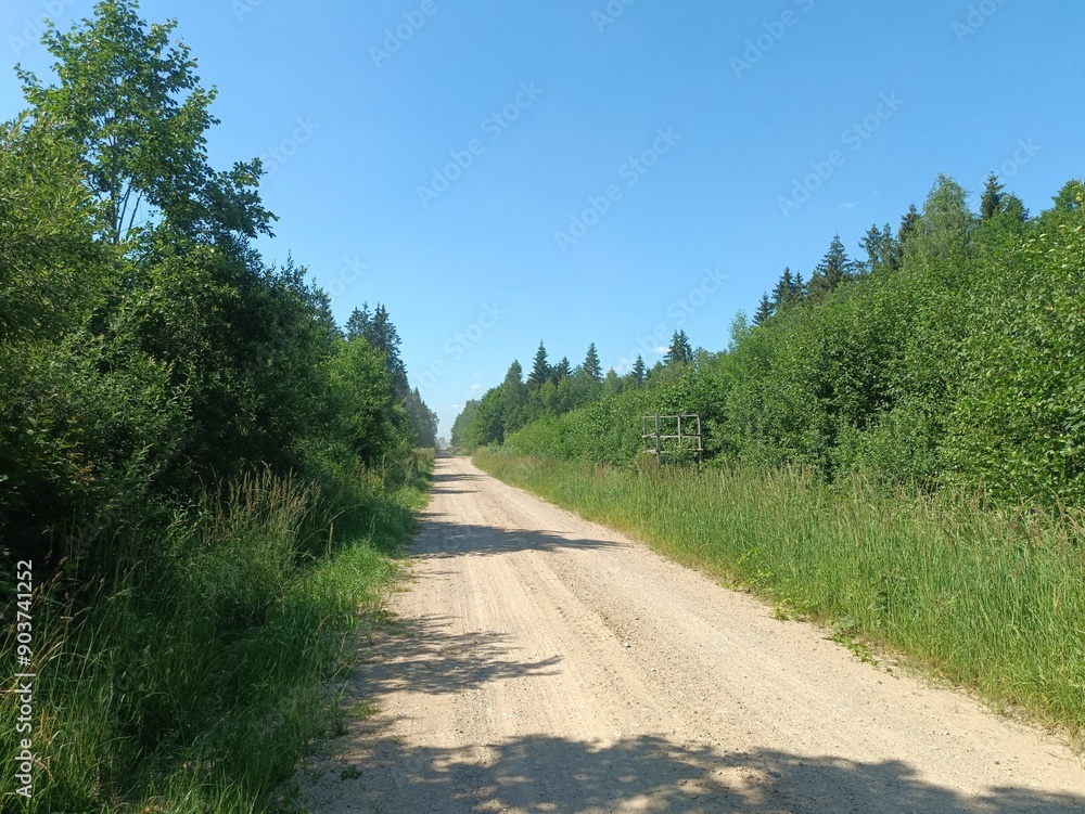 Road in forest in Siauliai county during sunny summer day. Oak and birch tree woodland. Sunny day with white clouds in blue sky. Bushes are growing in woods. Sandy road. Nature. Summer season. Miskas. Road in forest in Siauliai county during sunny summer day. Oak and birch tree woodland. Sunny day with white clouds in blue sky. Bushes are growing in woods. Sandy road. Nature. Summer season. Miskas.
