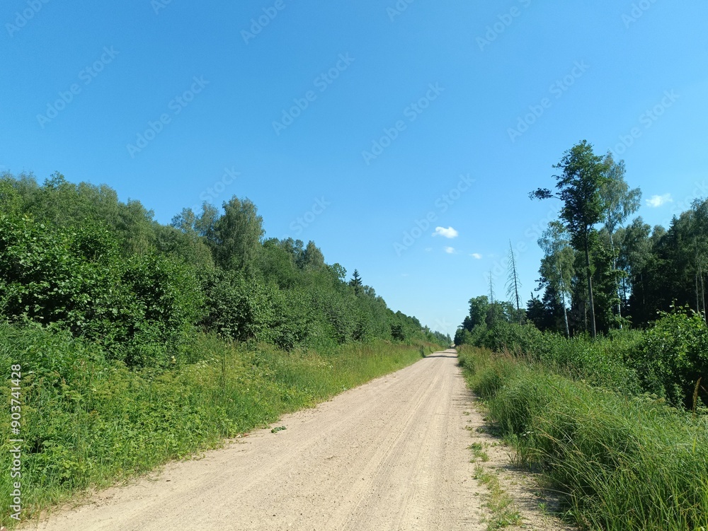 Road in forest in Siauliai county during sunny summer day. Oak and birch tree woodland. Sunny day with white clouds in blue sky. Bushes are growing in woods. Sandy road. Nature. Summer season. Miskas. Road in forest in Siauliai county during sunny summer day. Oak and birch tree woodland. Sunny day with white clouds in blue sky. Bushes are growing in woods. Sandy road. Nature. Summer season. Miskas.