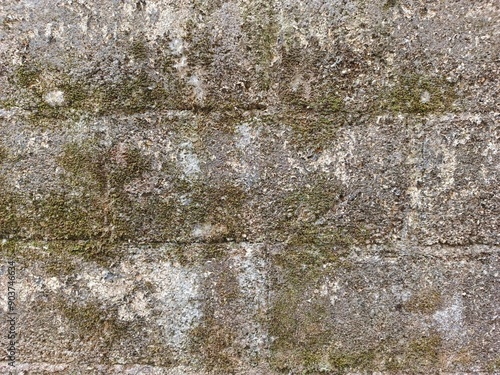 Green moss and rain stains on abandoned cement wall photo