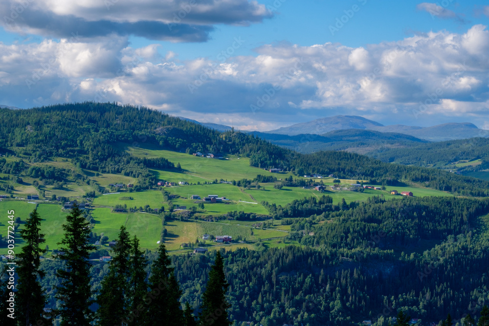 Fototapeta premium Sentiero in Norvegia