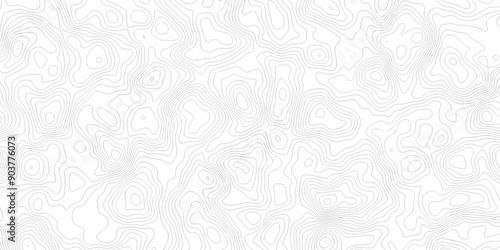 Black and white lines seamless Topographic map patterns curved wavy lines abstract geometric minimal background. Vector contour graphic design, White wave paper curved reliefs abstract background.