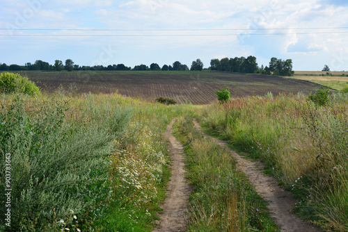 a dirt path leads to a plowed field with tall grass and trees 