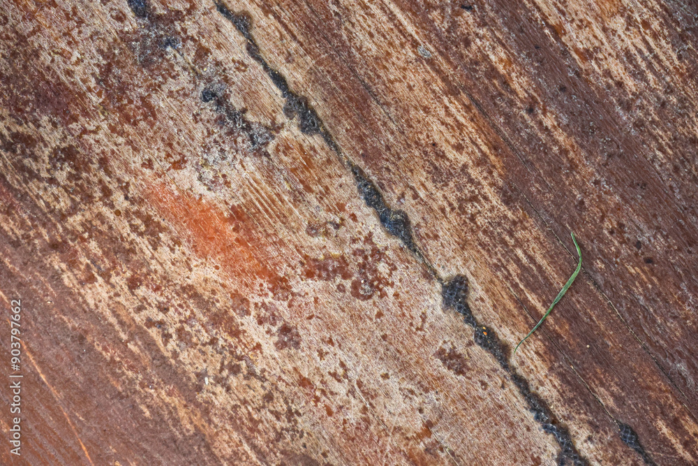 Old wood surface texture background Old wood surface texture background