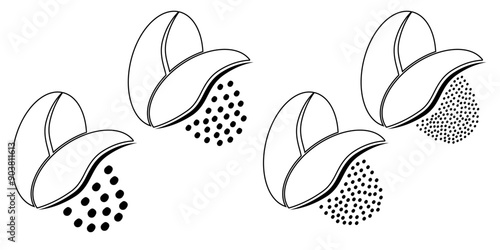 Cartoon roasted coffee beans pictogram. Coffee bean grind, size chart grains. For mug or cup. For coffee percolator. Coarse, medium or fine progress bar, loading. Manual coffee grinder.