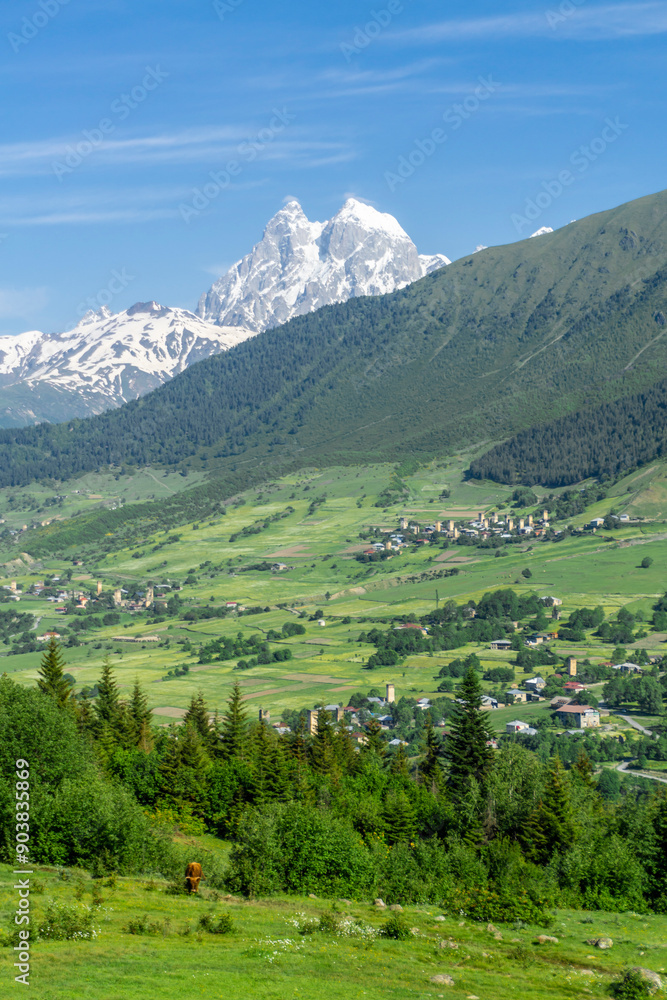 Mountains covered with forest and bushes. Villages in the valley. Light Clouds Above the snow capped peak of Mount Ushba Mountains covered with forest and bushes. Villages in the valley. Light Clouds Above the snow capped peak of Mount Ushba