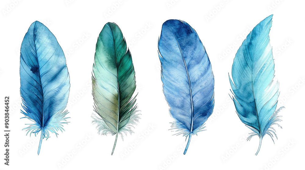 Blue green feather bird quill part of wing set collection isolated on transparent background cutout PNG Blue green feather bird quill part of wing set collection isolated on transparent background cutout PNG