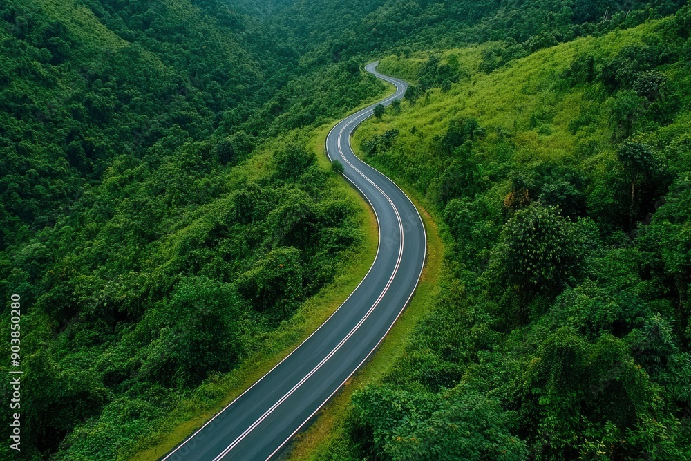 Aerial view asphalt road on green forest, Curve asphalt road on mountain green forest, Countryside road passing green forrest and mountain , ai Aerial view asphalt road on green forest, Curve asphalt road on mountain green forest, Countryside road passing green forrest and mountain , ai