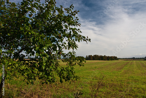 Pomorski krajobraz