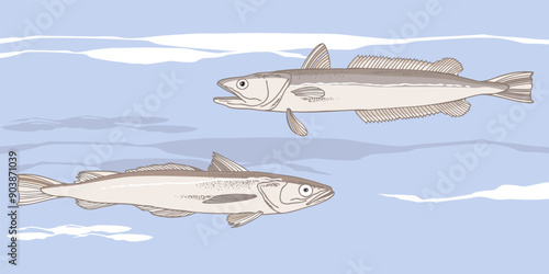 Northern commercial fish on the background of the ocean. Vector illustration. Suitable for packaging fish products, printing and other design projects.