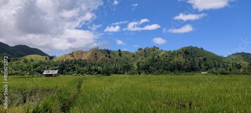 landscape of green hills and green rice fields in the countryside