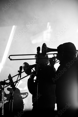 Canvas Print Black and white picture of musician