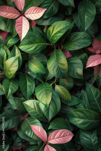 Wallpaper Mural Closeup of vibrant green leaves with pink accents, nature background in minimal design Torontodigital.ca