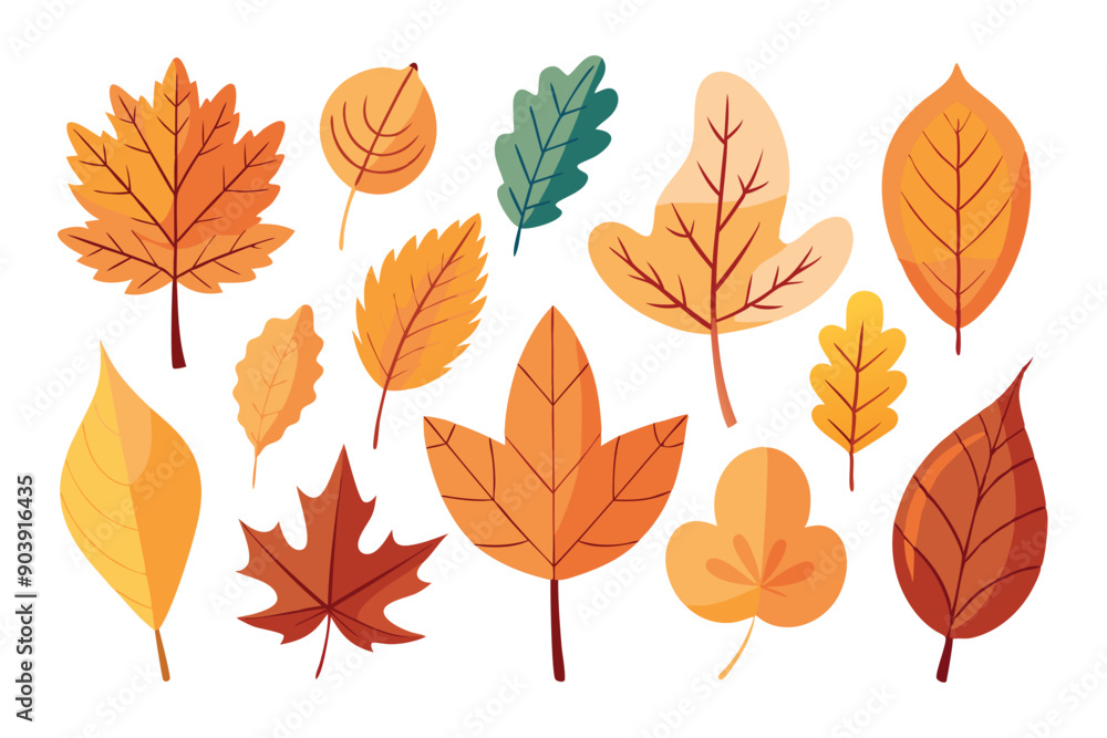 Fototapeta premium Minimalistic autumn leaves, assorted hues, arranged in a single set.