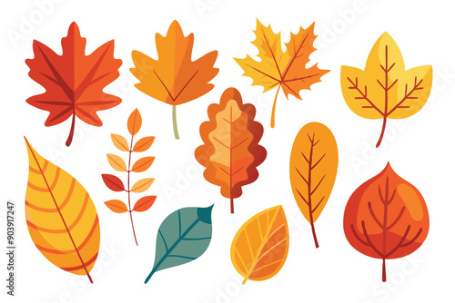 Minimal autumn leaves set, assorted in colors and shapes