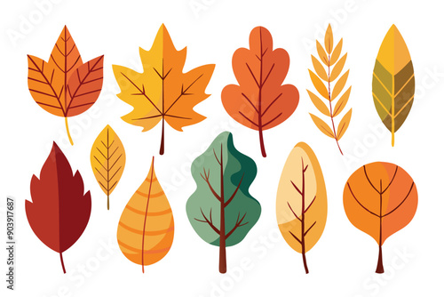 Set of assorted autumn leaves, single minimal. photo