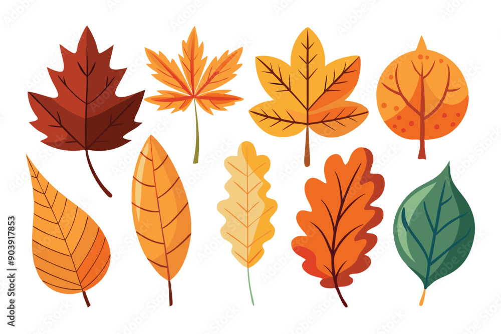 Obraz premium Set of assorted autumn leaves, single minimal, vibrant hues.