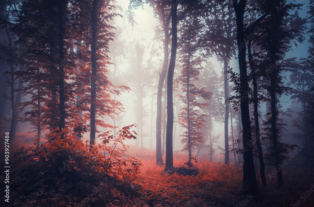 Obraz premium dark fantasy halloween forest landscape