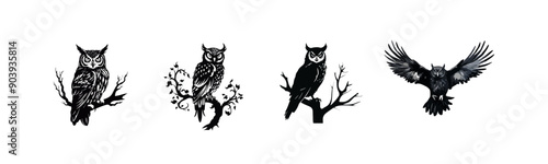 Black owl silhouette cutout. Set of owl bird silhouette on transparent background