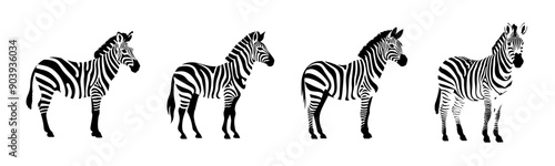 Black zebra silhouette cutout. Set of zebra animal silhouette on transparent background