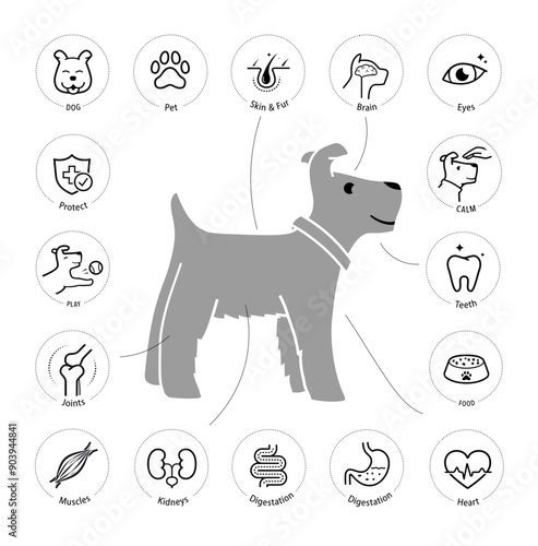A set of icons for dog. The outline icons are well scalable and editable. Contrasting elements are good for different backgrounds. EPS10.	