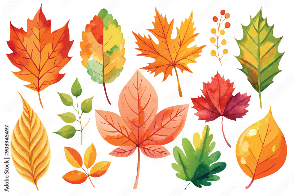 Adobe Illustrator Artwork Adobe Illustrator Artwork