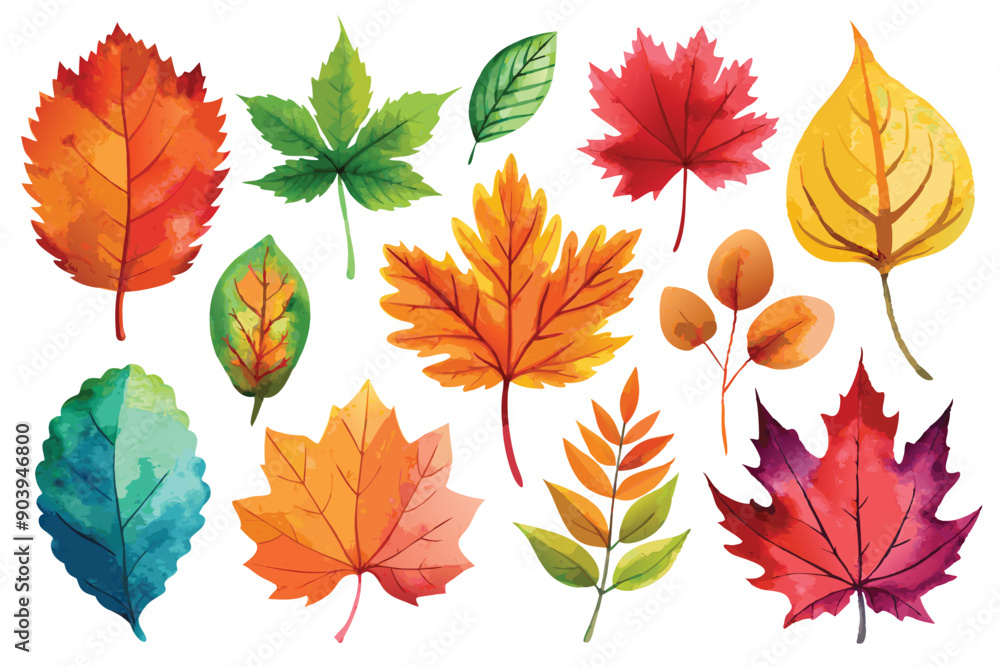 Adobe Illustrator Artwork Adobe Illustrator Artwork