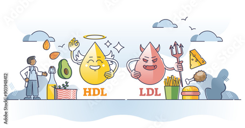 Cholesterol HDL vs LDL character comparison with examples outline concept, transparent background. Good versus bad density fats diet illustration. Healthy nourishment choice over junk food.