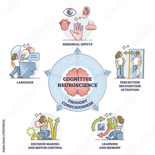 Cognitive neuroscience and thought consciousness processes, outline diagram, transparent background. Sensory input, language, decision making and motor control, learning and memory, self perception.